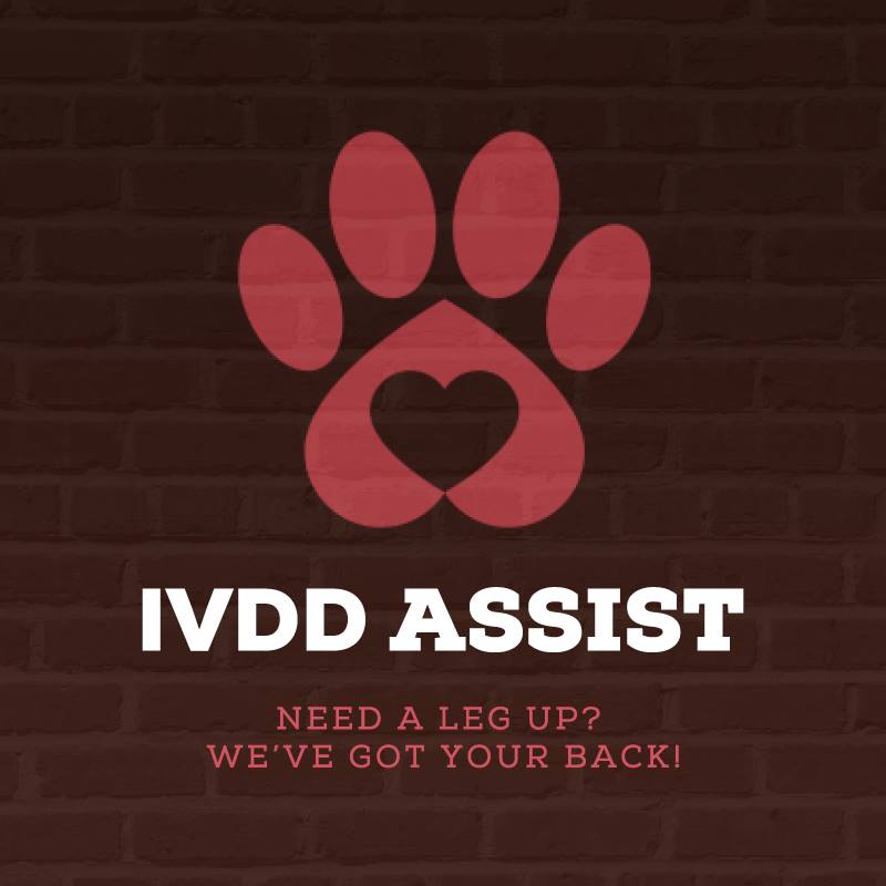 IVDD Assist