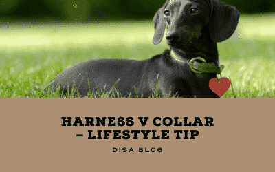 harness collar