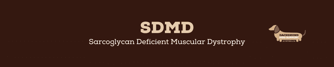 SDMD